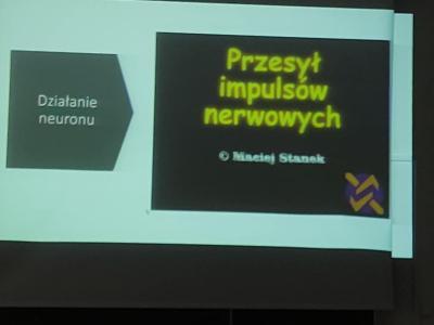 0039592e-b95d-4e3e-8121-07077588c8c4wynik