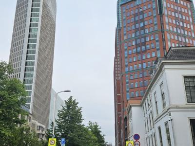 niderlandy-46